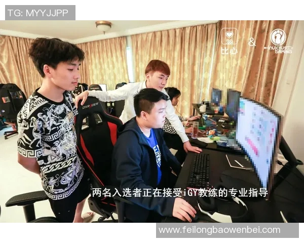 热议王者荣耀IG战队比赛经验的创新与变革探讨