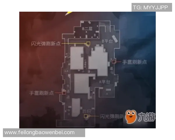 CSGO焦点WE战术解析与实战应用探讨全方位剖析团队策略与配合技巧